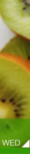PT